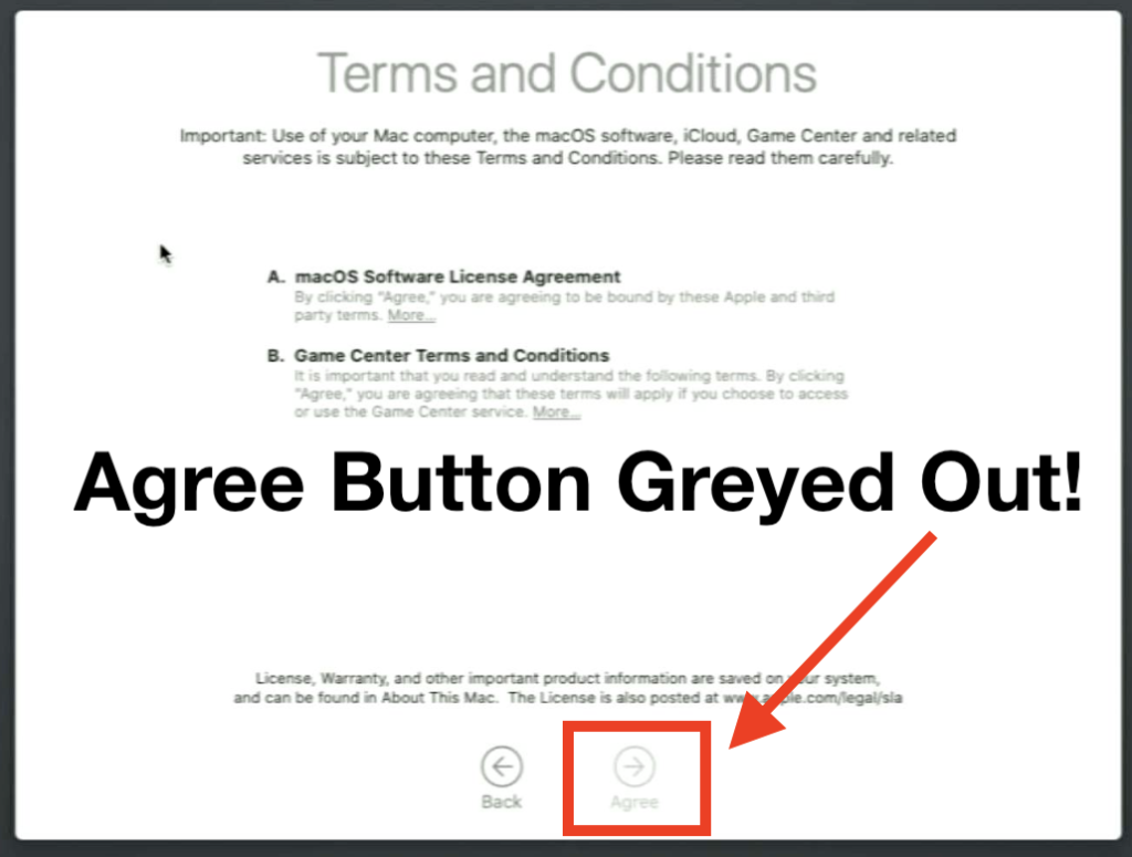 条款与条件的同意按钮是灰色